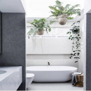 spring bathroom design trends